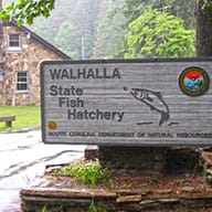 Walhalla Fish Hatchery