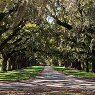 Environmental Stewardship at Boone Hall Plantation