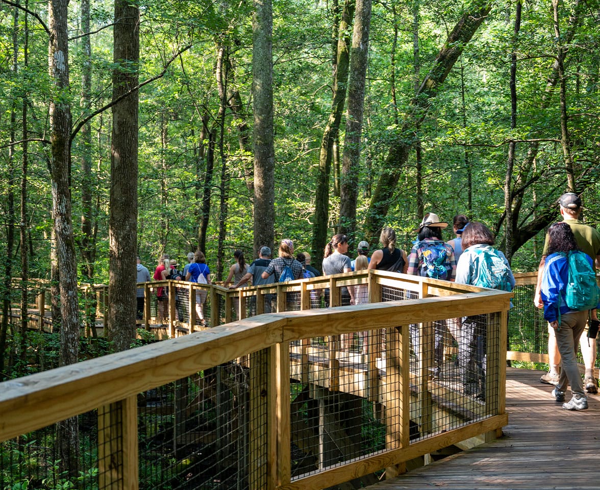Congaree National Park