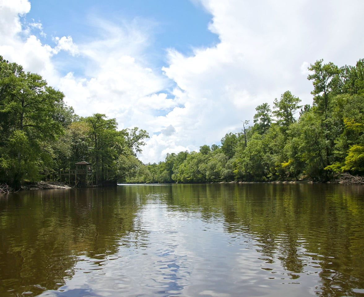 Tubing the Edisto River