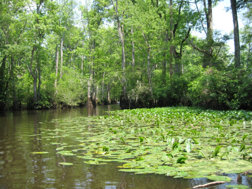 SC's Revolutionary Rivers