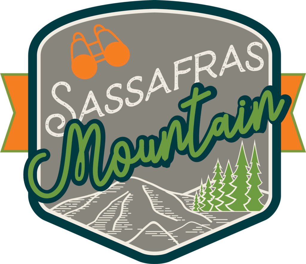 Sassafras Mountain badge