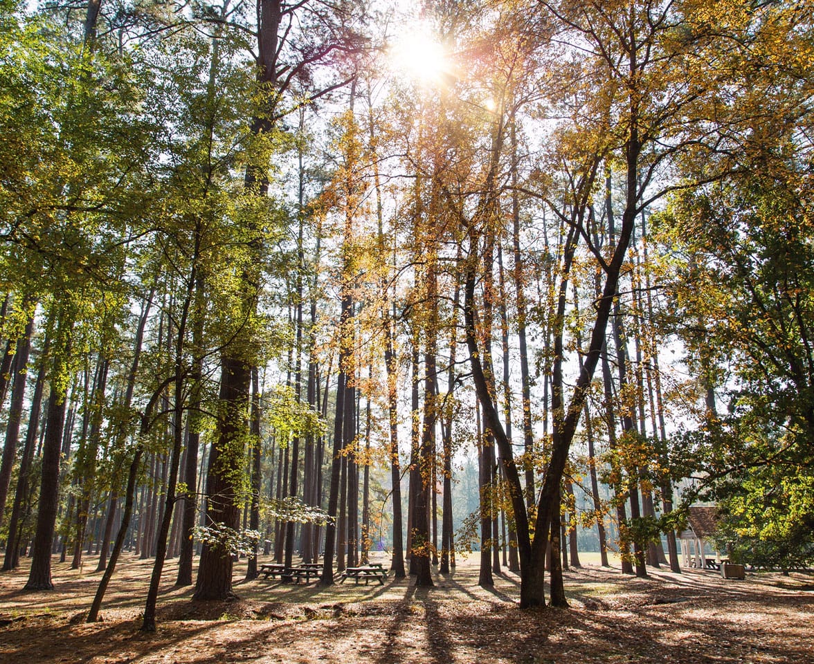 Sesquicentennial State Park
