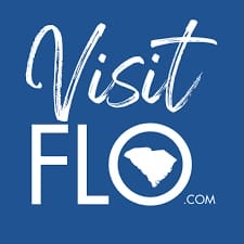 VisitFlo logo