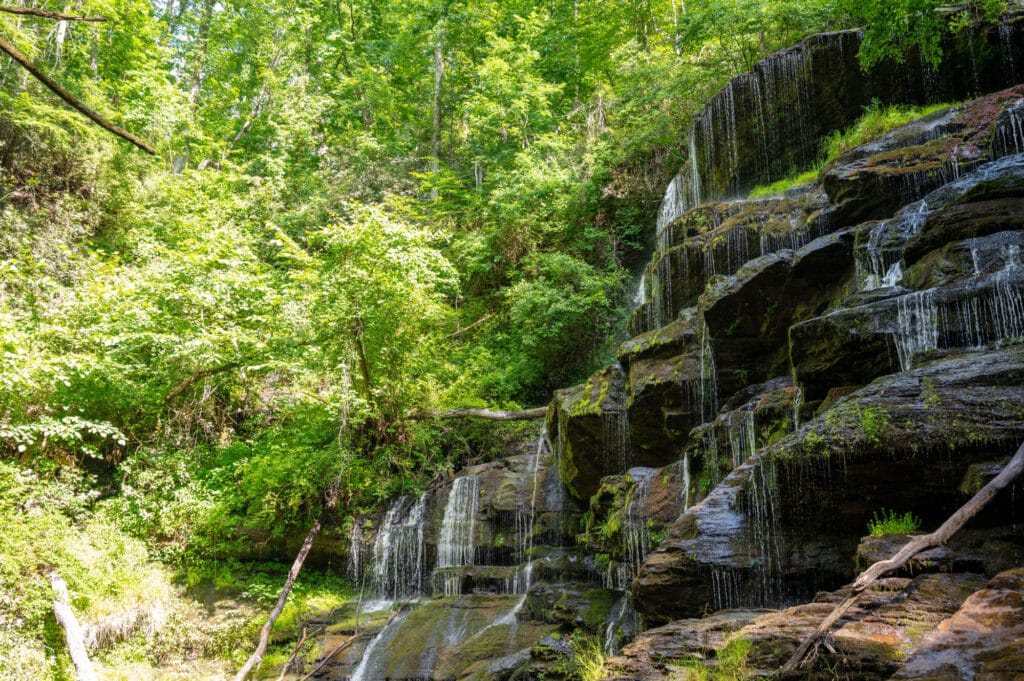Yellow Branch Falls(2)
