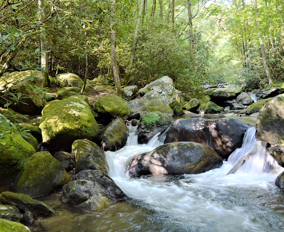 Jones Gap State Park