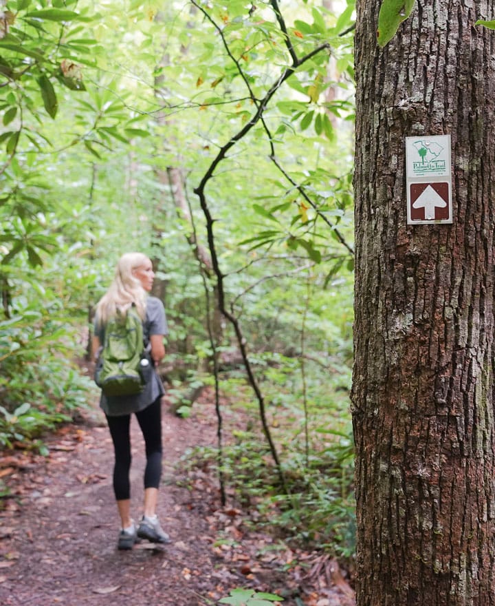 032f117a74a2bb9821c178038047e285f54a38f2