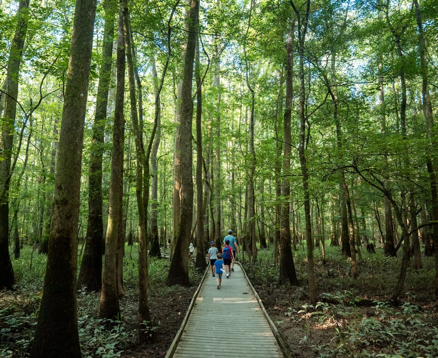 311ac6d69e2e3825b1347a0c2881bbc3971a10a7