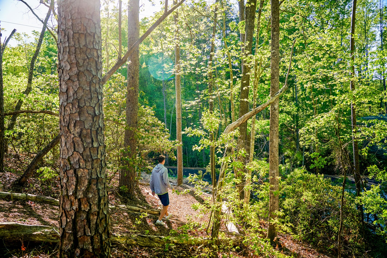 Keowee-Toxaway State Park