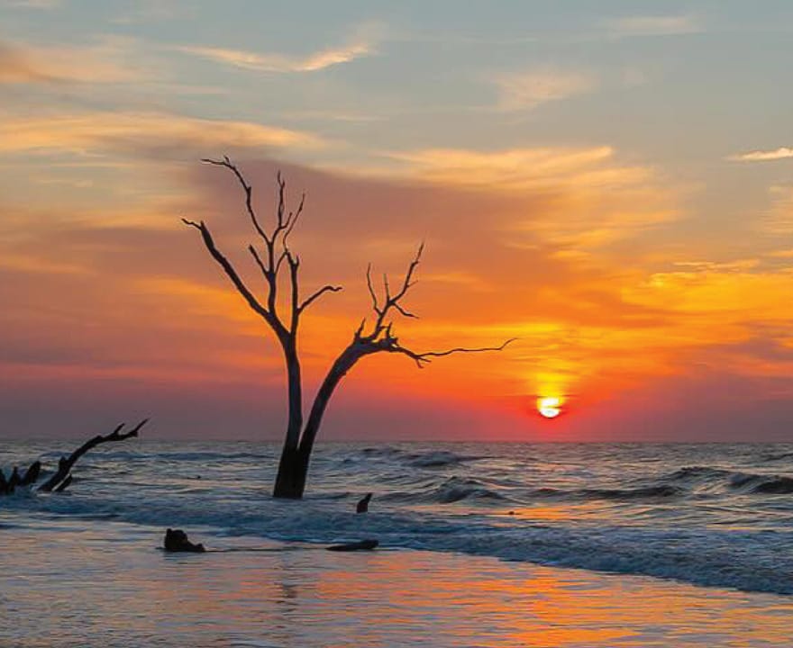 C0a0bcb3a65726a122b0548d3c629eeca954d439