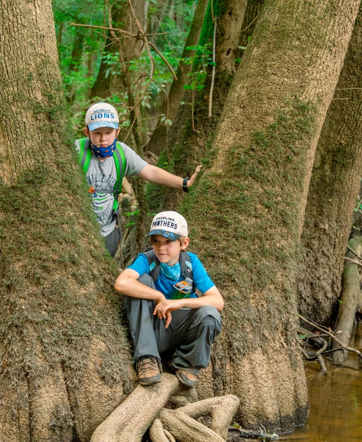 Df51b102caccd7d2a1b1222b28a03f4df1881178