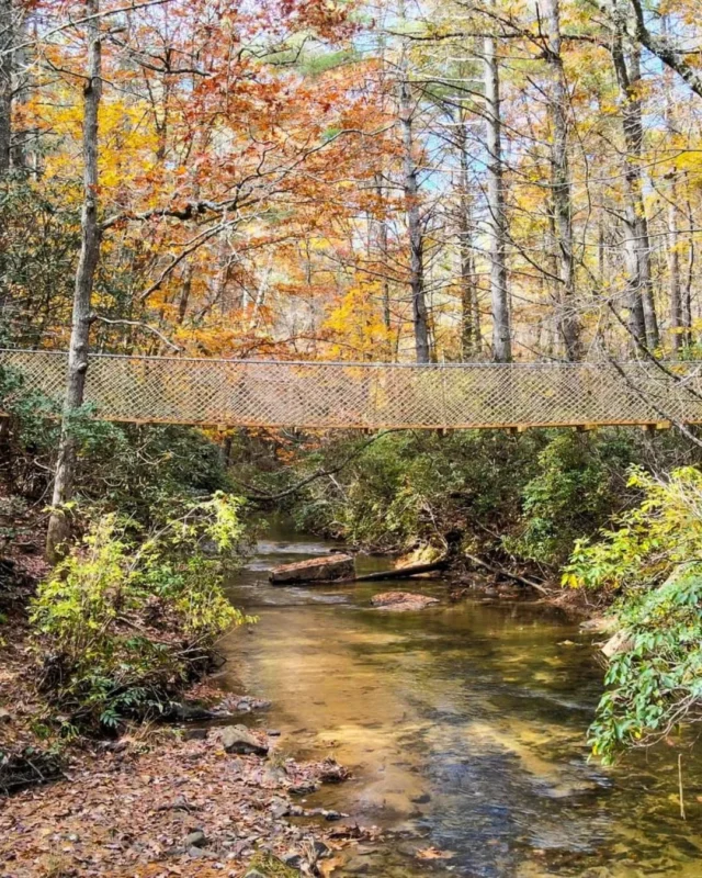 🥾❄️ SC’s Hidden Winter Hike You’ll Wish You Found Sooner! ❄️🥾

Bundle up and hit the Estatoe Passage of the @palmettotrail, a peaceful 4.6-mile stretch winding along Eastatoe Creek through quiet Upstate forests. In winter, the bare trees reveal hidden mountain views, mist rises from the river, and the trail takes on a calm, magical stillness.

It’s the perfect spot for a crisp morning walk or a reflective winter adventure. 🍂✨

Tag us and @palmettotrail in your photos — we’d love to see where your boots take you this season!

📸: @palmettotrail, @wachfox 

#HiddenGemSC #PalmettoTrail #EstatoePassage #FallHikesSC #ExploreSouthCarolina #FallFoliageHikes #GetOutsideSC
