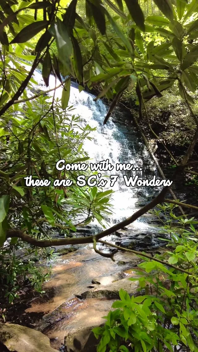 Meet the girls 💅Congaree, Jocassee Gorges, and the rest of the SC7 Wonders! 

You can check out these beauties with us in July during the #SC7Expedition, or create your own adventure and explore them on your own time.

Just don’t forget to tag us — we love seeing how you #GetOutsideSC 💚

#SC7 #SC7Wonders #SouthCarolina #ExploreSC #SouthCarolinaAdventures #TrailTowns