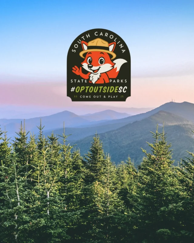 This Black Friday, Let’s #OptOutside! 🌲🥾

This November 28, 2025, our friends at @rei, @palmettotrail, @sctrailnet, and @scstateparks  are teaming up to encourage South Carolinians to skip the shopping carts and hit the trails instead! 💚✨

Across the state, there are plenty of ways to join in:
🌄 Free admission to all South Carolina State Parks all day long!
🥾 Hike with a Ranger at Oconee, Huntington Beach, Poinsett, and Colonial Dorchester State Parks.
🌳 Guided hikes along the Palmetto Trail — including Lake Marion, Peak to Prosperity, and Wateree Passages, plus a special hike with REI’s Adam Elvington on the Wateree Passage!

It’s the perfect way to connect with nature, family, and the incredible outdoor spaces that make South Carolina shine. 🌞

Visit for more information: https://www.palmettotrail.org/calendar/event/39754848744245038 

#OptOutside #OptOutsideSC #SC7 #SouthCarolinaTrails #PalmettoTrail #SCTrails #SCStateParks #ExploreSC #DiscoverSC #GetOutsideSC #LowcountryToMountains #AdventureAwaits