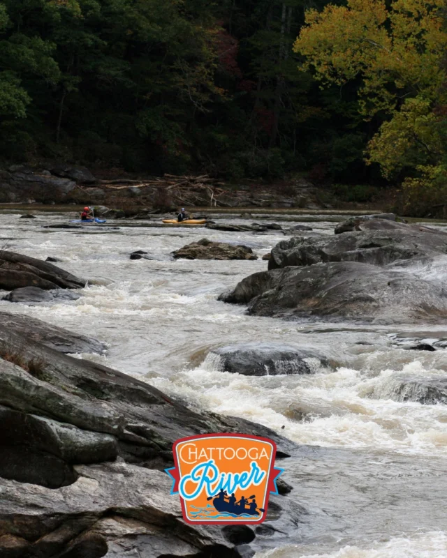 🍁 Catch the Chattooga in its glory during the off-season!

South Carolina’s wildest river is calling! As Wonder #1 of the SC7, the Chattooga River offers untamed beauty, crisp mountain air, and quiet trails perfect for off-season adventures.

📍 Flowing along the Georgia‑SC border, the Chattooga drops nearly a half‑mile in elevation through deep gorges and forested ridges. A National Wild & Scenic River since 1974, it stays largely untouched—a serene escape for hiking, fishing, or just soaking in nature’s peaceful magic.

What to do this winter:
🥾 Stroll the quiet trails along the river and enjoy the subtle off-season colors.
🎣 Try your luck at fishing or simply listen to the river’s soothing rush.
📸 Capture the crisp winter light and the beauty of the river without the crowds.

Make the most of December and create your own outdoor adventure. Whether it’s a solo hike, a family day, or an outing with friends, the Chattooga River is a perfect off-season escape! 🌊❄️

#SC7 #ChattoogaRiver #WildAndScenic #MountainMagic #UpstateSC #GetOutside #OutdoorAdventures #SouthernCharm #OffSeasonEscape