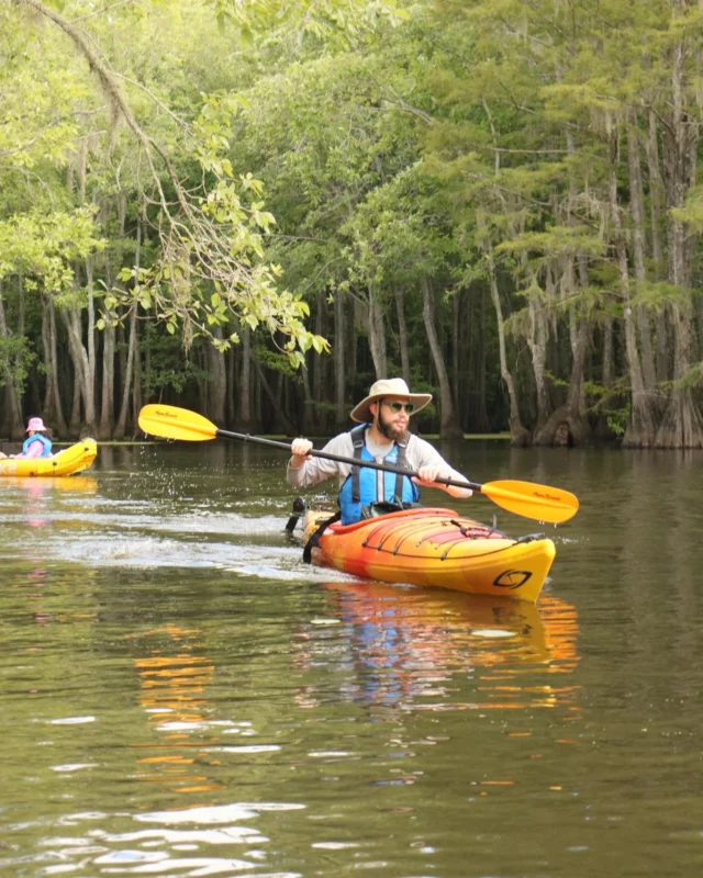 ❄️🛶 Think it’s too cold to paddle? Think again!

Winter in South Carolina is actually the perfect time to get on the water. Fewer crowds, calm waters, and crisp, clear views make kayaking and paddleboarding an incredible experience—even in cooler temperatures! 🌊✨

Tips for winter paddling:
🧣 Layer smart: Moisture-wicking base layers, insulating mid-layers, and a waterproof outer layer keep you warm.
🧤 Protect extremities: Hats, gloves, and neoprene socks help prevent heat loss.
💦 Dress for the water: Even shallow falls can be dangerous—consider a dry suit or wetsuit for safety.
🌬 Check conditions: Shorter days and changing weather make it important to know water and wind conditions before you go.
👯‍♂️ Safety first: Paddle with a buddy or let someone know your route.
☕ Post-paddle warmth: Bring a thermos of hot tea, cocoa, or coffee to enjoy after your adventure.

Winter paddling is a unique way to connect with nature and explore SC’s waterways in peace. So grab your paddle and layer up—your next adventure is just a few strokes away!

#SouthCarolinaPaddling #SC7Expedition #WinterKayaking #ExploreSC #SCStateParks #OutdoorAdventures #PaddleSC #KayakLife #GetOutside #NatureLovers #AdventureAwaits #WinterInTheSouth